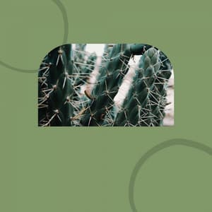 Ballad Jazz - Bgm for Enjoying Nature - Late Night Jazz Bar