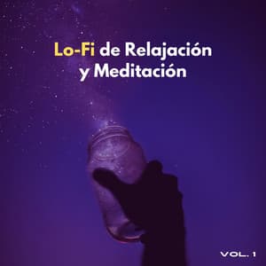 Lofi De Relajación Y Meditación Vol. 1 - Mundo de Meditación Mindfulness