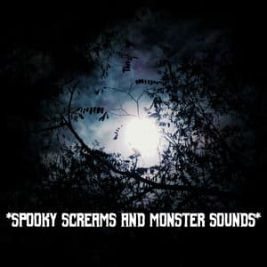 * Spooky Screams And Monster Sounds * - The Haunted House of Horror Sound Effects