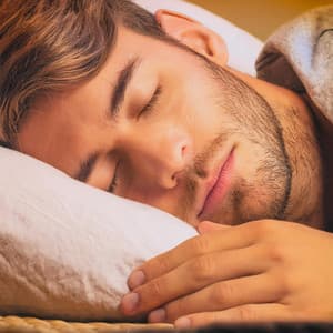 Sonidos Relajantes Nocturnos Para Un Sueño Profundo - Búsqueda silenciosa