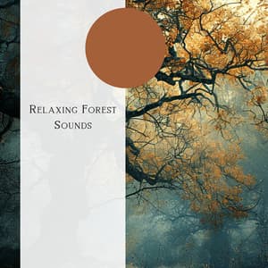 Relaxing Forest Sounds - Natural Forest FX