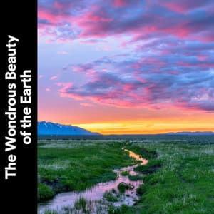 The Wondrous Beauty of the Earth - Mother Nature Soundscapes
