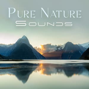 Pure Nature Sounds: Gentle Nature Sounds for Purification for Bad Stress - Exotic Nature Kingdom