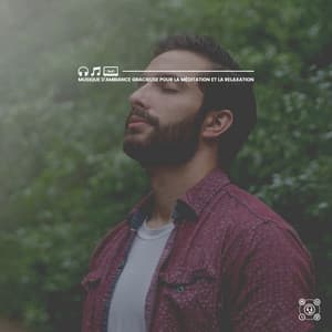 Musique d'ambiance gracieuse pour La méditation et La relaxation - Musique Calme et Relaxation