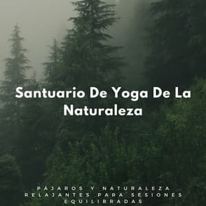 Santuario De Yoga De La Naturaleza: Pájaros Y Naturaleza Relajantes Para Sesiones Equilibradas - Radio 1 Pajaros y Ranas