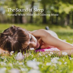 The Sound of Sleep: Natural White Noise and Calming Music - Outside HD Samples