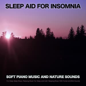 Sleep Aid For Insomnia: Soft Piano Music and Nature Sounds For Deep Sleep Music, Relaxing Music For Sleep and Calm Sleeping Music With Forest and Bird Sounds - Music for Sleep