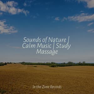 Sounds of Nature | Calm Music | Study Massage - Música Relajante para Bebés