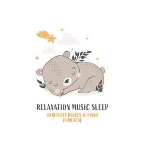 Relaxation Music Sleep: Berceuses douces au piano pour bébé - Piano musique académie pour bébé