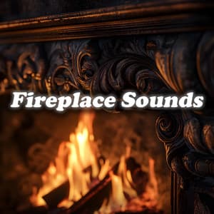 Fireplace Sounds - Fireplace Sounds
