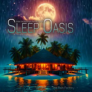 Sleep Oasis - Under the Moonlight Rainfall Tonight - The Rain Factory