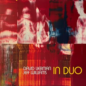 In Duo - Dave Liebman