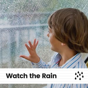 Watch the Rain - Rainforest Ambience