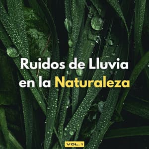 Ruidos De Lluvia En La Naturaleza Vol. 1 - Lluvia y Naturaleza