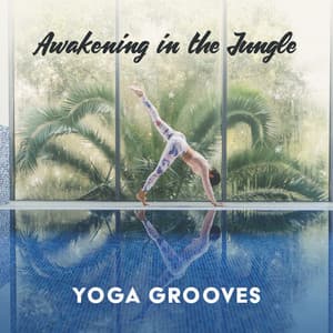 Awakening in the Jungle: Dynamic Yoga Music with Pure Kalimba & Drum with the Sound of Tropical Forest, Inspiring Grooves for Relaxation - Yin Yoga Academy