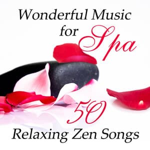 Wonderful Music for Spa: 50 Relaxing Zen Songs and Nature Sounds for Massage, Therapy & Healing Music - Beauty Spa Music Collection