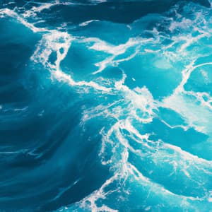 Wilderness - Nature Sound Bath