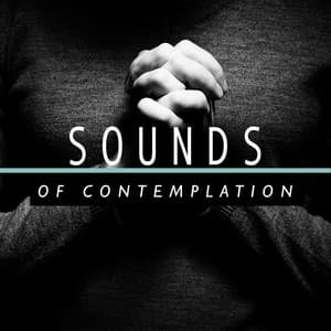 Sounds of Contemplation - Nature Sounds for Sleep and Relaxation