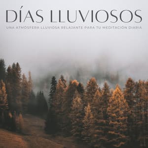 Días Lluviosos: Una Atmósfera Lluviosa Relajante Para Tu Meditación Diaria - Fábrica de Sonidos de Lluvia STHLM