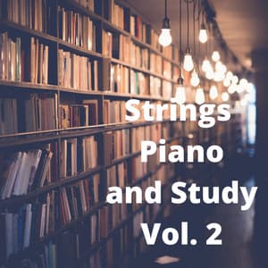 Strings Piano and Study, Vol. 2 - Reading Background Music Playlist