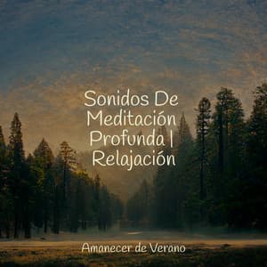 Sonidos De Meditación Profunda | Relajación - Piano Suave Relajante