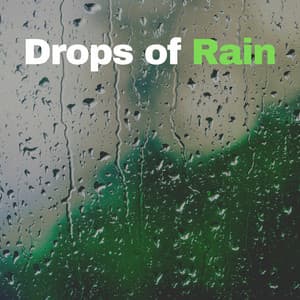 Drops of Rain - Rain Man Sounds