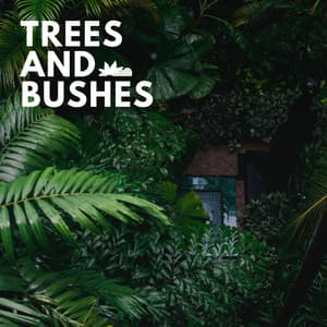 Trees and Bushes - Wildlife Sound Recordings