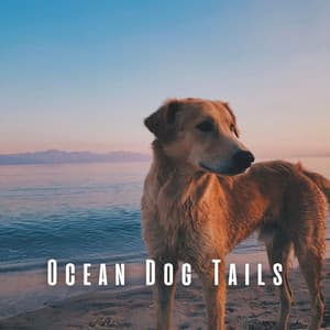 Ocean Dog Tails: Binaural Tunes and Theta Waves - Ocean Of White Noise