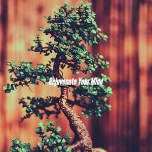 Rejuvenate Your Mind - Relaxing Jazz Music