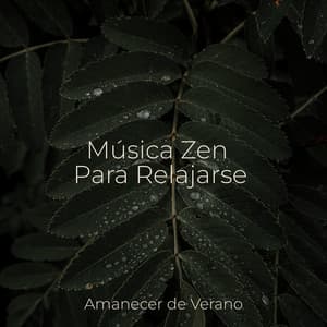 Música Zen Para Relajarse - Musica para Meditar