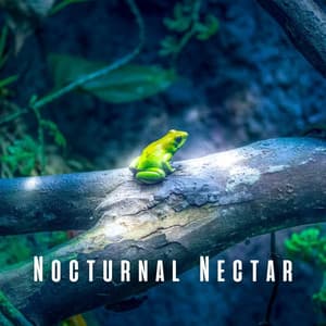 Nocturnal Nectar: Light Rain and Frog Melodies for Sleep - Night Crickets