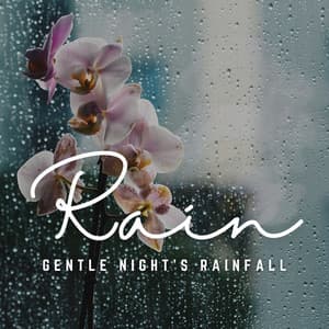 Nocturnal Rain: Guided Slumber with Rainfall - Rainfall Sound for Sleep