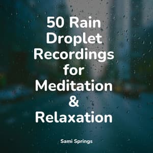 50 Rain Droplet Recordings for Meditation & Relaxation - Sonido Del Bosque y Naturaleza