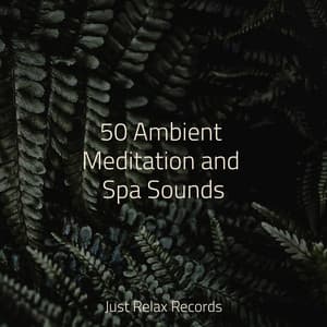 50 Ambient Meditation and Spa Sounds - Meditación Guiada