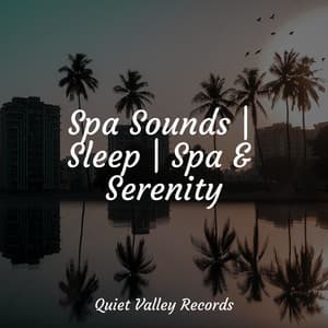 Spa Sounds | Sleep | Spa & Serenity - The Relaxing Sounds of Water