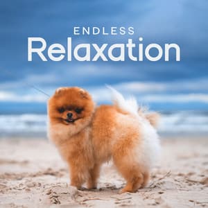 Endless Relaxation: Deeply Soothing Piano with The Sound of Ocean for Pets and Their Owners, Piano Music Lullaby For Dogs Pets Puppies - Animal Melody Wizard