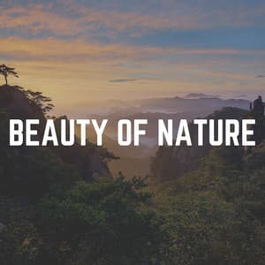 Beauty of Nature - Natures Orchestra