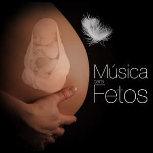 Música para Fetos: Canciones Relajantes para Embarazadas y Musica para Bebes en el Vientre - Musica Relajante Piano Master