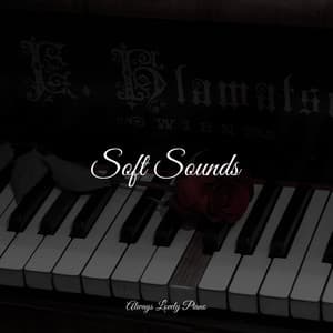 Relaxing and Quiet Listening Sounds - Mozart Lullabies Baby Lullaby