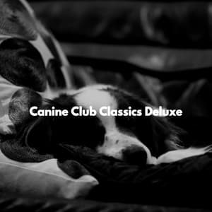 Canine Club Classics Deluxe - Happy Morning Music
