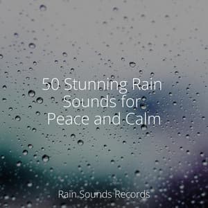 50 Stunning Rain Sounds for Peace and Calm - Canciones De Cuna