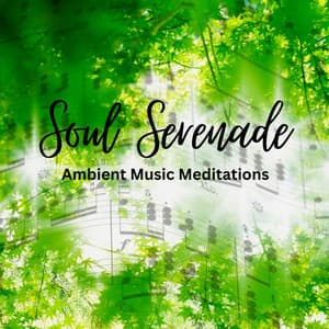 Soul Serenade: Ambient Music Meditations - Healing Meditation Relaxing Music Channel