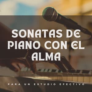 Sonatas De Piano Con El Alma: Acordes De Calma - Maestras de piano relajantes