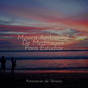 Música Ambiental De Meditación Para Estudiar - Meditación Interna