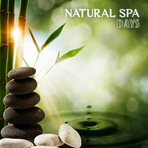 Natural Spa Days: Nature and Water Infused Sounds - Zen Meditation