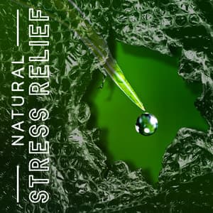 Natural Stress Relief: Calm & Relax, Think Positive, Feel Better - Stress Relief Helper