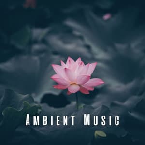 Ambient Music: Healing Meditation Vibes - Healing Music Collective