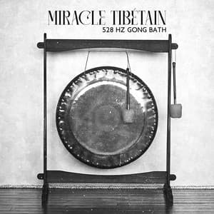 Miracle tibétain: 528 Hz Gong Bath Musique de méditation de guérison tibétaine, Bain sonore pour la relaxation et la réduction du stress - Bouddha Réflexion Zone Calme