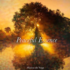 Peaceful Essence - Musica de Yoga