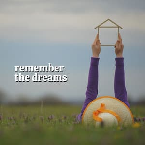 Remember the Dreams - Insomnia Cure Maestro